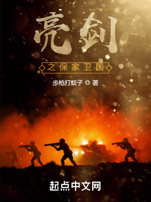 亮剑之保家卫国