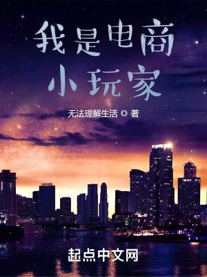 我是电商小玩家