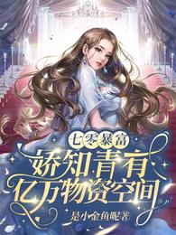 七零暴富！娇知青有亿万物资空间