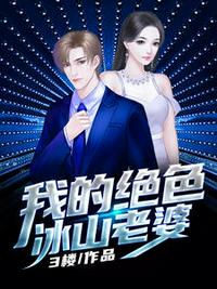 我的绝色冰山老婆秦飞杨若曦